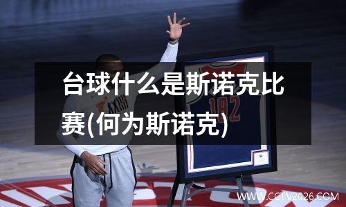 台球什么是斯诺克比赛(何为斯诺克)