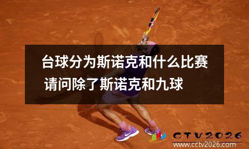 台球分为斯诺克和什么比赛 请问除了斯诺克和九球