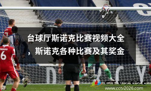 台球厅斯诺克比赛视频大全，斯诺克各种比赛及其奖金