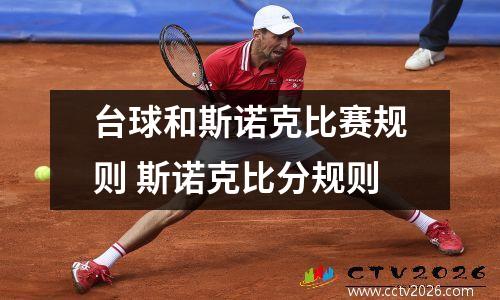 台球和斯诺克比赛规则 斯诺克比分规则