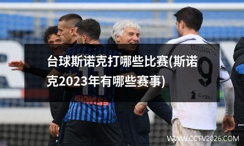 台球斯诺克打哪些比赛(斯诺克2023年有哪些赛事)