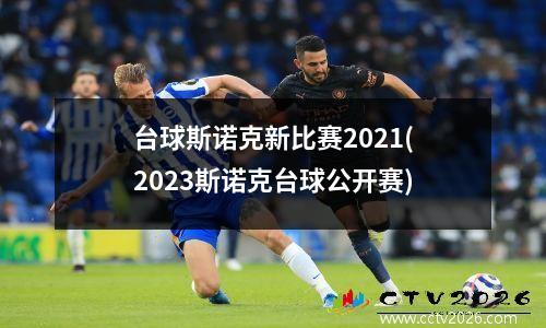 台球斯诺克新比赛2021(2023斯诺克台球公开赛)