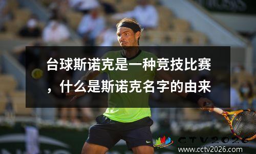 台球斯诺克是一种竞技比赛，什么是斯诺克名字的由来