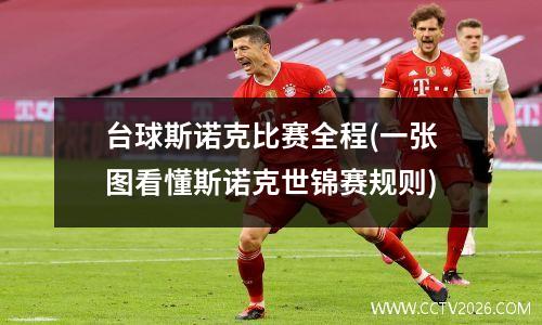 台球斯诺克比赛全程(一张图看懂斯诺克世锦赛规则)