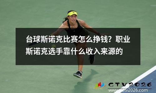 台球斯诺克比赛怎么挣钱？职业斯诺克选手靠什么收入来源的