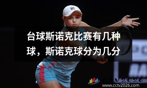 台球斯诺克比赛有几种球，斯诺克球分为几分