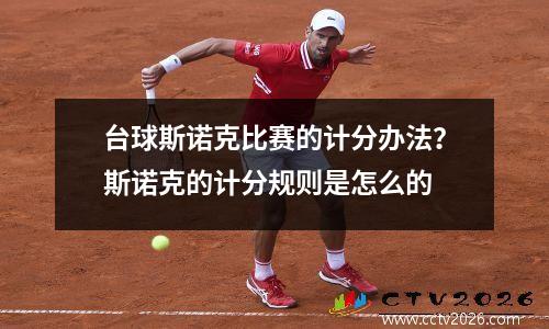 台球斯诺克比赛的计分办法？斯诺克的计分规则是怎么的