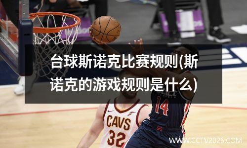 台球斯诺克比赛规则(斯诺克的游戏规则是什么)
