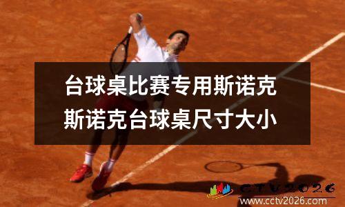 台球桌比赛专用斯诺克 斯诺克台球桌尺寸大小