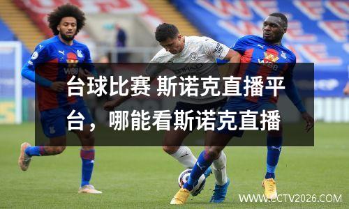 台球比赛 斯诺克直播平台，哪能看斯诺克直播