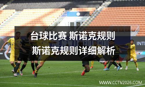台球比赛 斯诺克规则 斯诺克规则详细解析