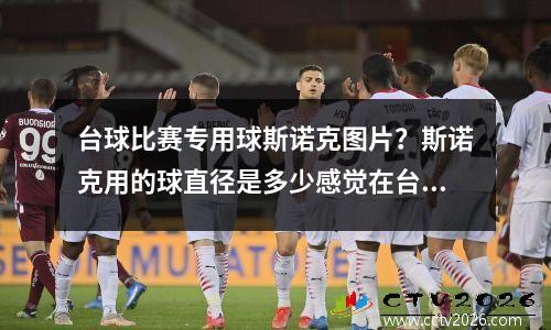 台球比赛专用球斯诺克图片？斯诺克用的球直径是多少感觉在台球管看到的比较小