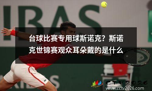台球比赛专用球斯诺克？斯诺克世锦赛观众耳朵戴的是什么