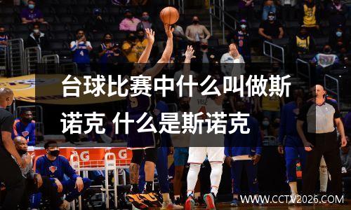 台球比赛中什么叫做斯诺克 什么是斯诺克