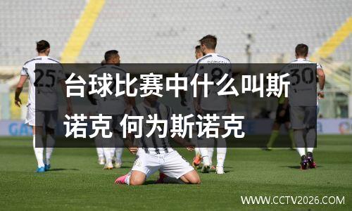 台球比赛中什么叫斯诺克 何为斯诺克