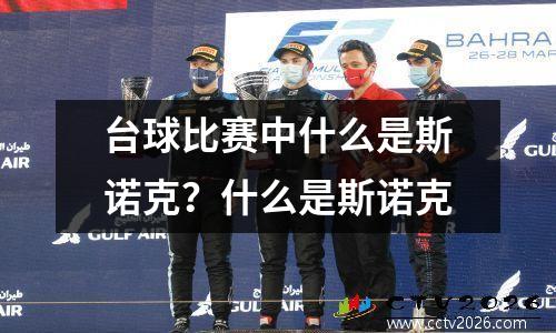 台球比赛中什么是斯诺克？什么是斯诺克