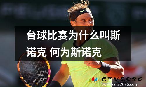 台球比赛为什么叫斯诺克 何为斯诺克