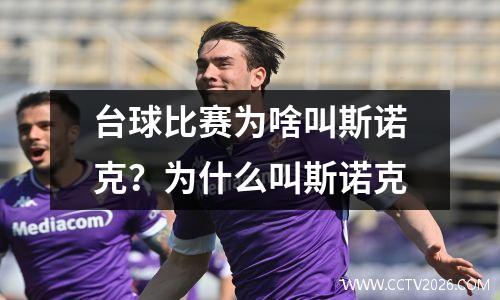 台球比赛为啥叫斯诺克？为什么叫斯诺克