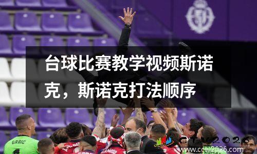 台球比赛教学视频斯诺克，斯诺克打法顺序