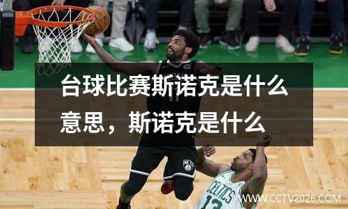 台球比赛斯诺克是什么意思，斯诺克是什么