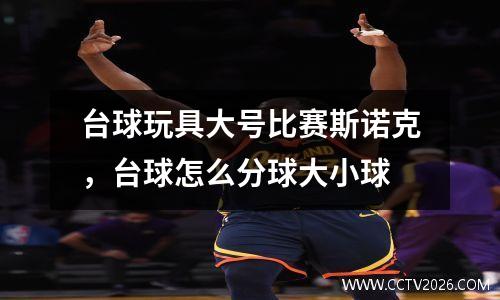 台球玩具大号比赛斯诺克，台球怎么分球大小球
