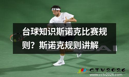 台球知识斯诺克比赛规则？斯诺克规则讲解