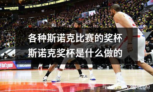 各种斯诺克比赛的奖杯 斯诺克奖杯是什么做的