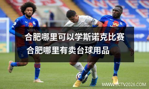 合肥哪里可以学斯诺克比赛 合肥哪里有卖台球用品