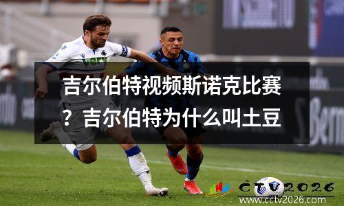 吉尔伯特视频斯诺克比赛？吉尔伯特为什么叫土豆