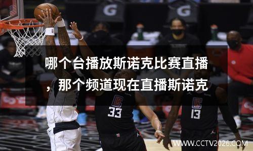 哪个台播放斯诺克比赛直播，那个频道现在直播斯诺克