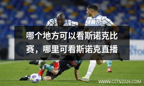 哪个地方可以看斯诺克比赛，哪里可看斯诺克直播
