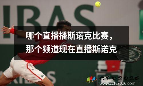 哪个直播播斯诺克比赛，那个频道现在直播斯诺克