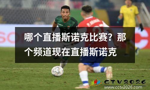 哪个直播斯诺克比赛？那个频道现在直播斯诺克