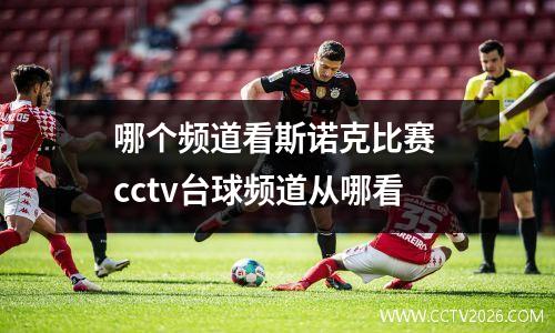 哪个频道看斯诺克比赛 cctv台球频道从哪看