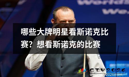 哪些大牌明星看斯诺克比赛？想看斯诺克的比赛