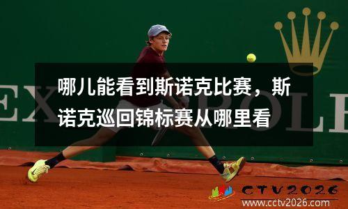 哪儿能看到斯诺克比赛，斯诺克巡回锦标赛从哪里看