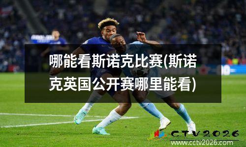 哪能看斯诺克比赛(斯诺克英国公开赛哪里能看)