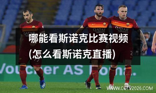 哪能看斯诺克比赛视频(怎么看斯诺克直播)