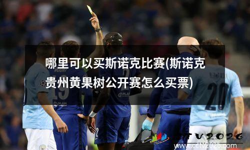 哪里可以买斯诺克比赛(斯诺克贵州黄果树公开赛怎么买票)