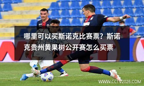哪里可以买斯诺克比赛票？斯诺克贵州黄果树公开赛怎么买票