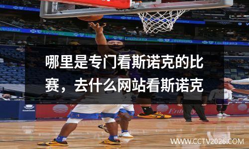 哪里是专门看斯诺克的比赛，去什么网站看斯诺克