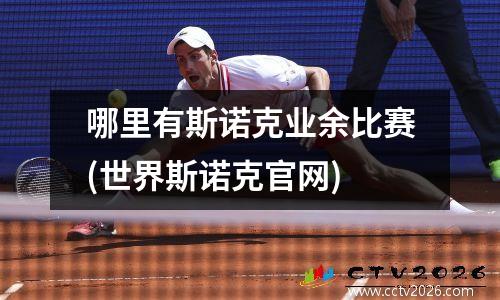 哪里有斯诺克业余比赛(世界斯诺克官网)
