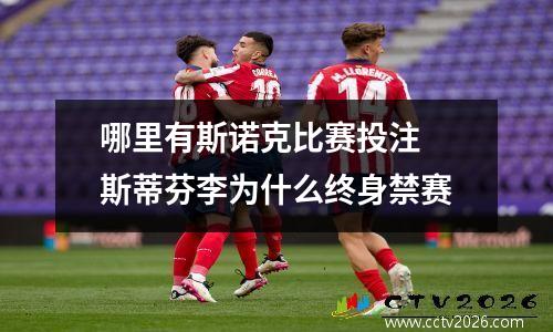 哪里有斯诺克比赛投注 斯蒂芬李为什么终身禁赛