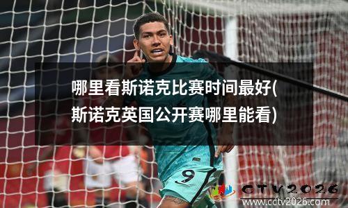 哪里看斯诺克比赛时间最好(斯诺克英国公开赛哪里能看)