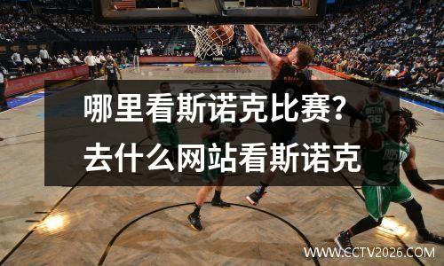 哪里看斯诺克比赛？去什么网站看斯诺克