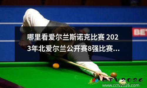 哪里看爱尔兰斯诺克比赛 2023年北爱尔兰公开赛8强比赛时间