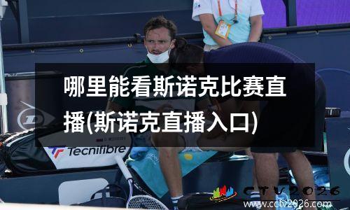 哪里能看斯诺克比赛直播(斯诺克直播入口)