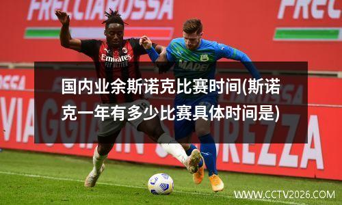 国内业余斯诺克比赛时间(斯诺克一年有多少比赛具体时间是)