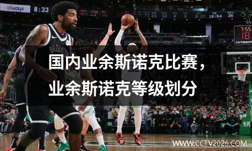 国内业余斯诺克比赛，业余斯诺克等级划分
