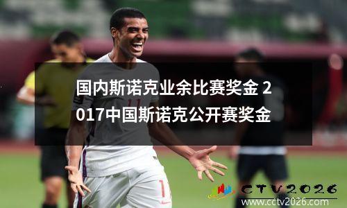 国内斯诺克业余比赛奖金 2017中国斯诺克公开赛奖金